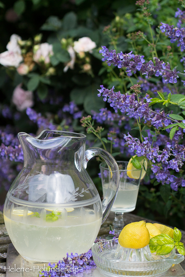 Zitronen-Basilikum-Lemonade, vegan Helene Holunder
